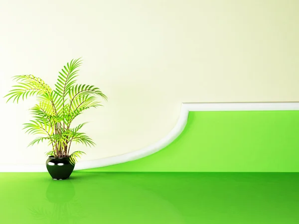 Güzel bitki vazo — Stok fotoğraf