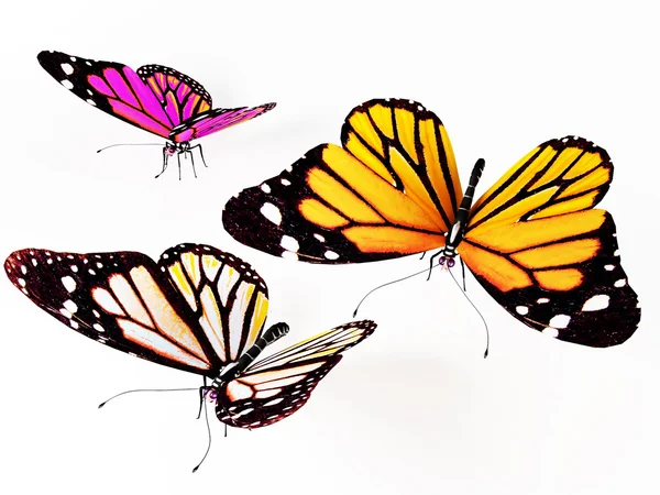 Drie vlinders — Stockfoto
