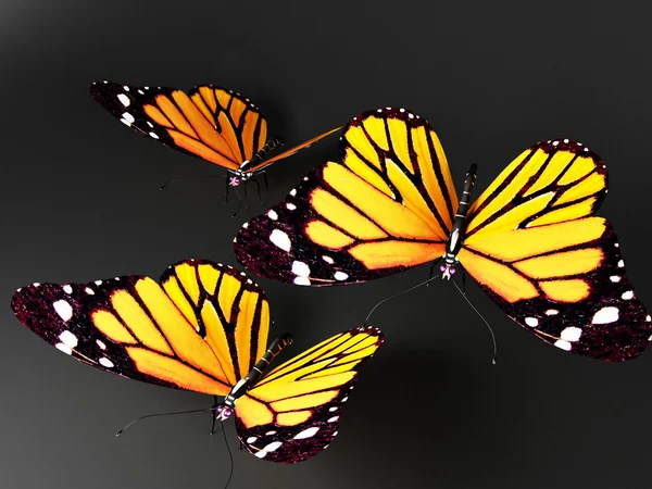 Tres mariposas — Foto de Stock