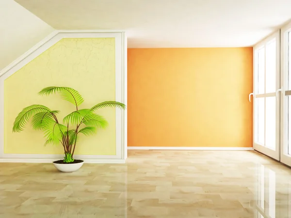 A plant in the empty interior — Stock Photo, Image