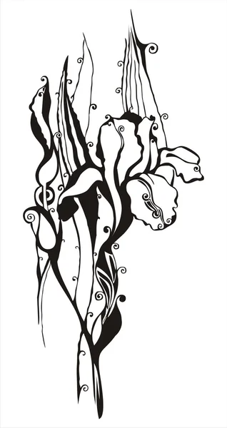 Sílhueta vetorial decorativa - flor de íris ornamental — Vetor de Stock