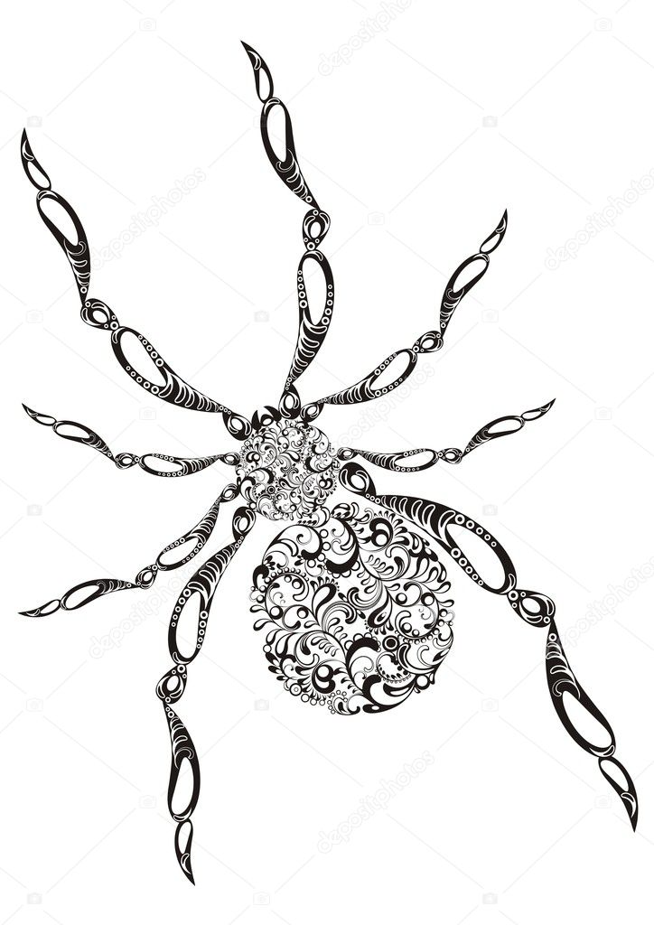 Vector ornamental spider - black artistic silhouette on white background
