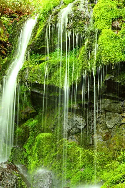 Chute d'eau forestière — Photo