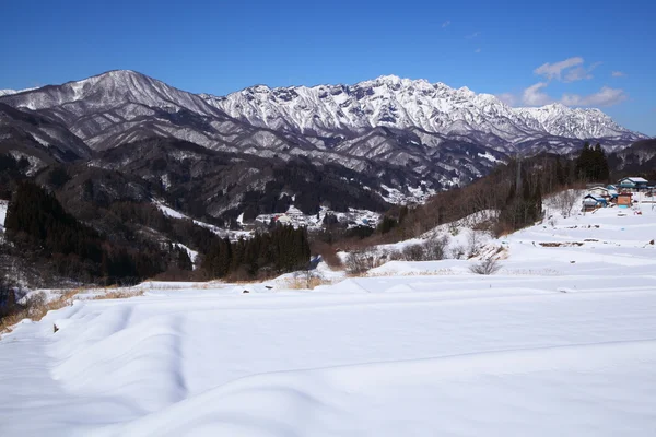 눈이 덮여 필드 및 Mt.Togakushi — 스톡 사진