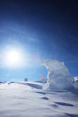 yumuşak in Rime ı, mt.zao, Japonya