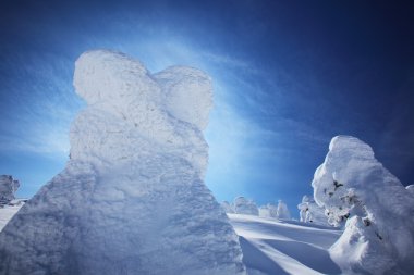 yumuşak in Rime ı, mt.zao, Japonya