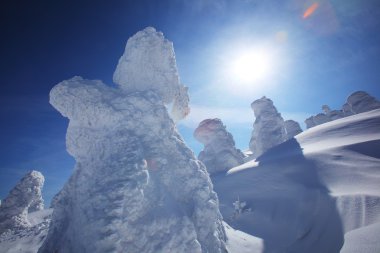 yumuşak in Rime ı, mt.zao, Japonya