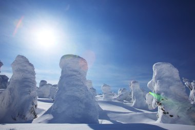 yumuşak in Rime ı, mt.zao, Japonya