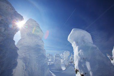 yumuşak in Rime ı, mt.zao, Japonya