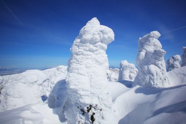 yumuşak in Rime ı, mt.zao, Japonya