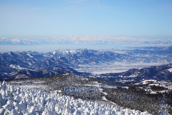 软霜和在日本的山饭 — 图库照片