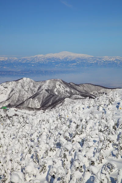 Soft rime and Mt. Gassan in Japan — Stock Photo, Image