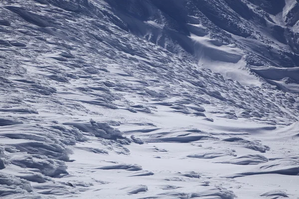 Rüzgârlı kar — Stok fotoğraf