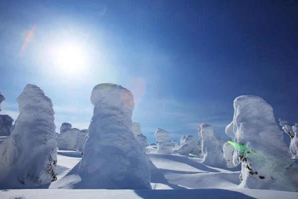 Cristal doux, Mont Zao au Japon — Photo