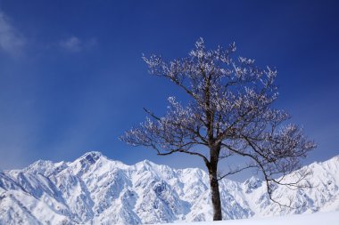 Mt. Goryudake, Nagano Japan clipart