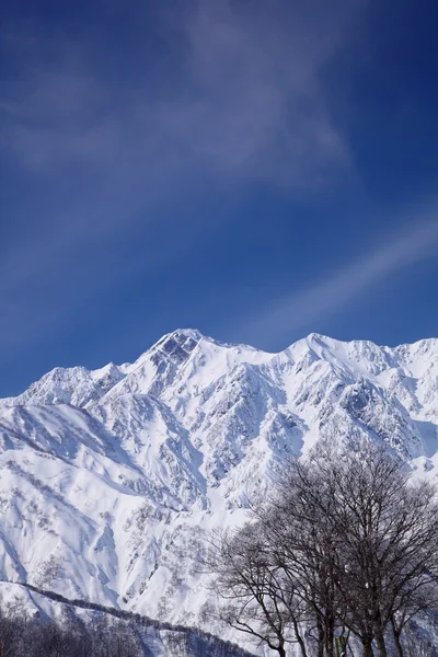 Mt. Goryudake, Nagano Japón — Foto de Stock