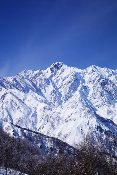 長野県山五竜岳 — ストック写真