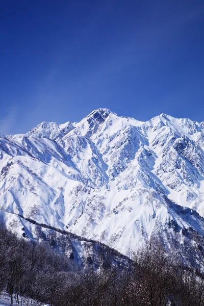 Mt. goryudake, nagano, japan — Stockfoto