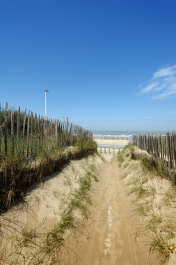 A beautiful path through the dunes clipart