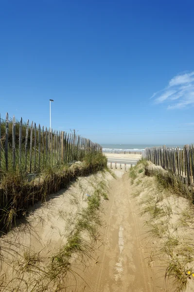 A beautiful path through the dunes — Stock Photo, Image