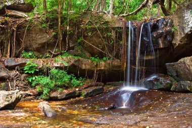 Waterfall in the rainforest clipart