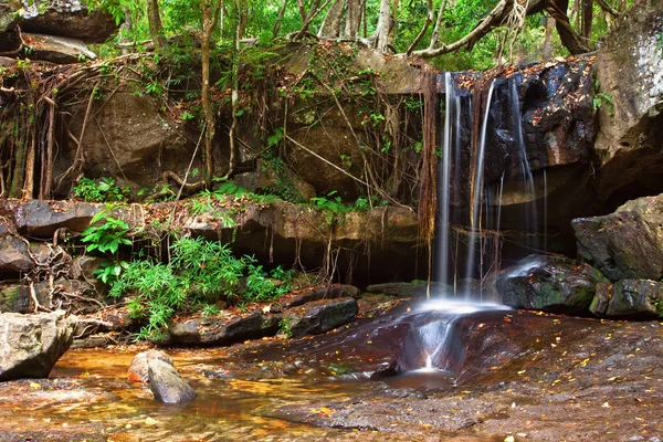 stock image Waterfall in the rainforest