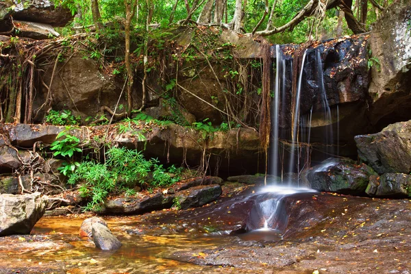 Водопад в тропических лесах Стоковое Изображение
