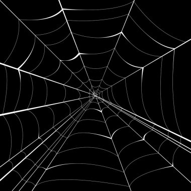 örümcek vektör arka plan
