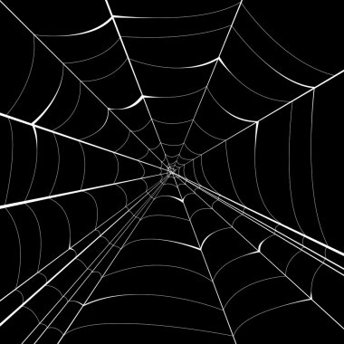 Spider vector background clipart