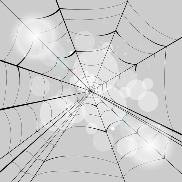 Spinnenvektorhintergrund — Stockvektor