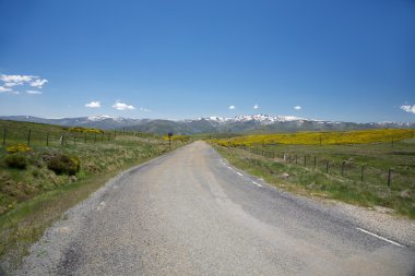 Lonely rural road at Gredos mountains clipart