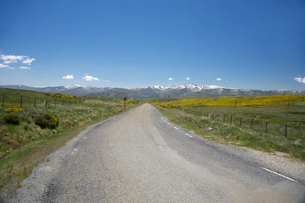 Eenzame landelijke weg op de gredos-bergen — Stockfoto