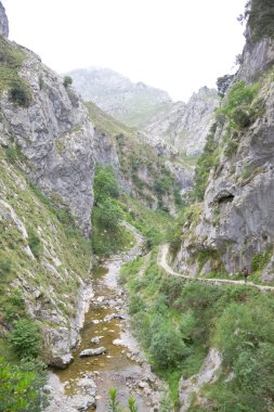 nehir bakımları büyük gorge