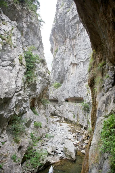 Tunnel i ravinen av floden bryr sig — Stockfoto