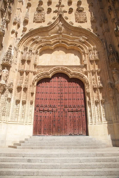 Carved door of Salamanca cathedral — Stock Photo, Image