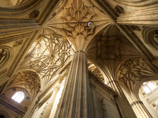 Colonne a soffitto nella cattedrale di Salamanca — Foto Stock