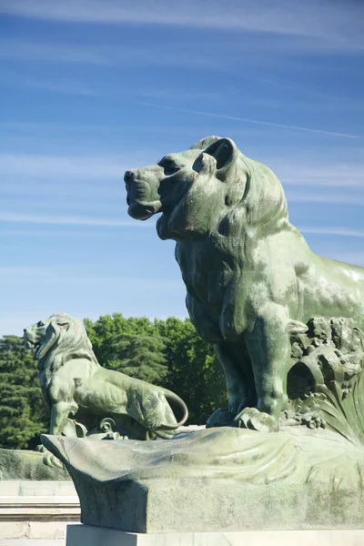 Lato leoni nel parco di Madrid — Foto Stock
