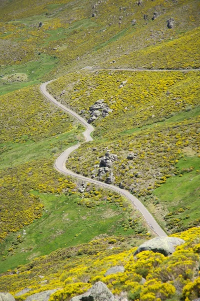 Estrada rural estreita nas montanhas de Gredos — Fotografia de Stock