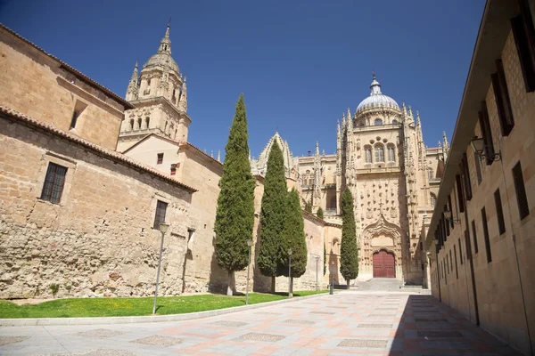 Rua ao lado da catedral de Salamanca — Fotografia de Stock