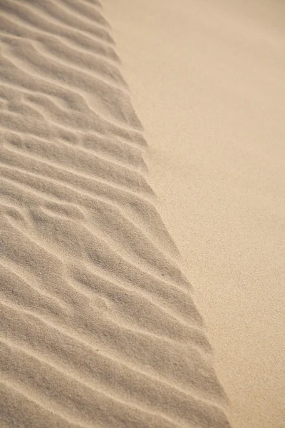 Duna de areia de textura — Fotografia de Stock