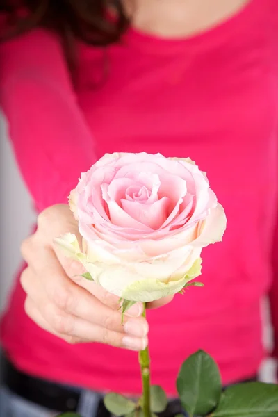 Offering pink flower — Stock Photo, Image