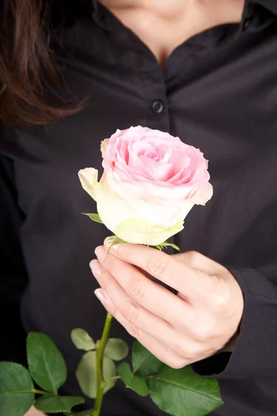 Pink flower and black shirt background — Stock Photo, Image