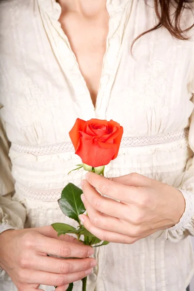 stock image Red rose white shirt