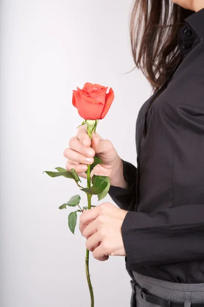 Sexy businesswoman with rose — Stock Photo, Image