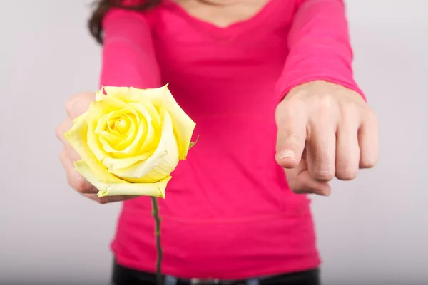 Yellow rose for you — Stock Photo, Image