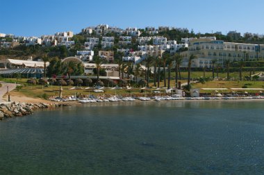 Güzel tropikal plaj