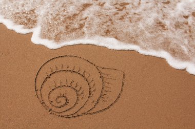 shell kum çizilmiş