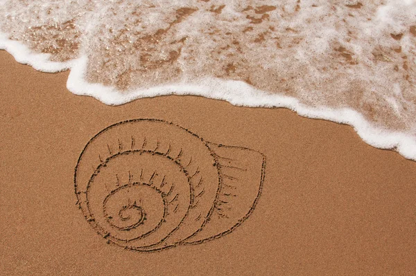 Shell dras i sanden — Stockfoto