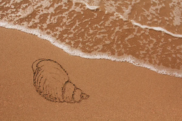 Раковины, нарисованные в песке — стоковое фото