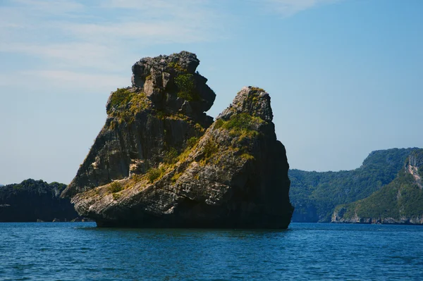 stock image Island look like monkey.